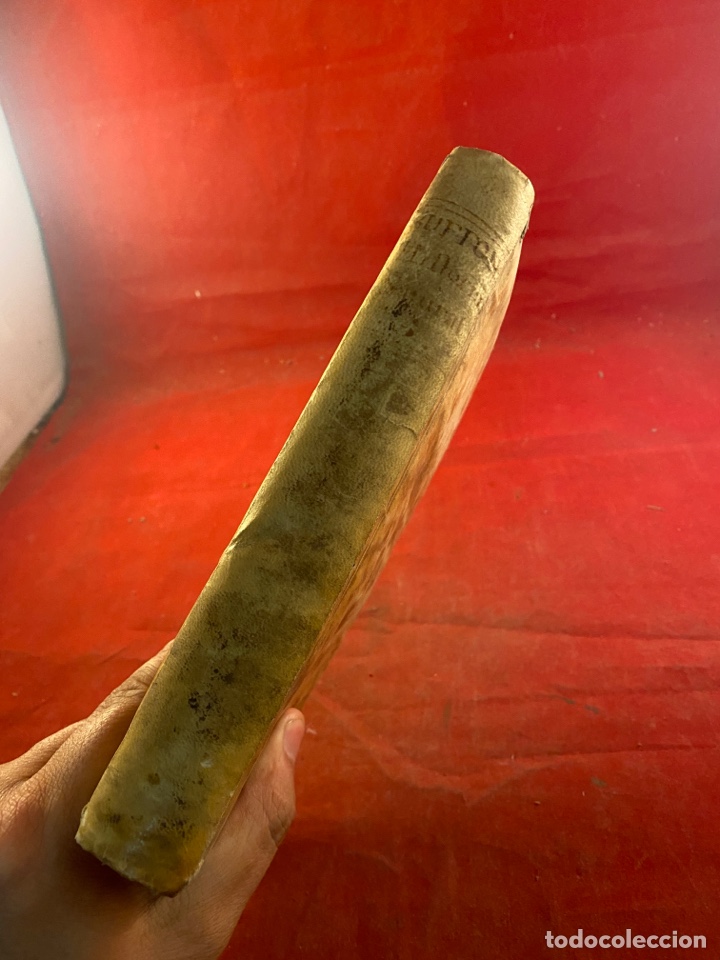 Libros antiguos: HISTORIA NATURAL GENERAL Y PARTICULAR 1787 - Foto 7