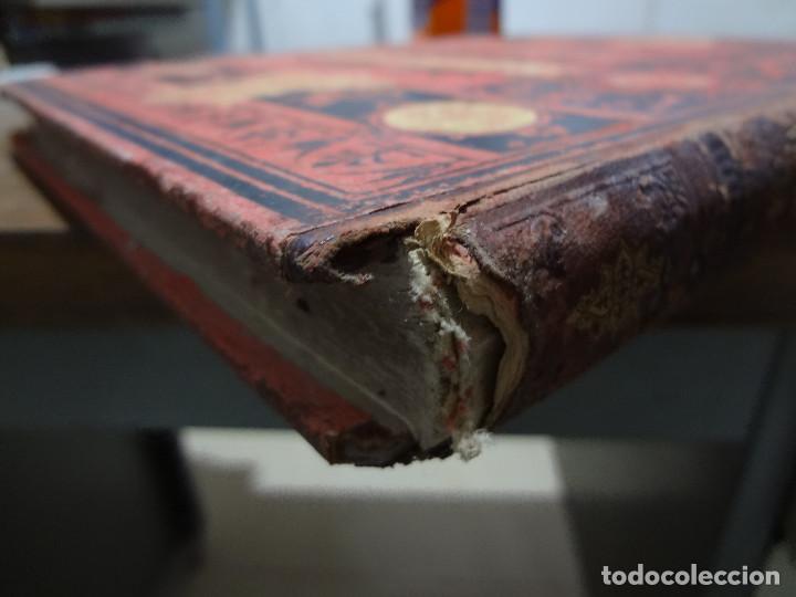 Libros antiguos: GERMANIA - MONTANER Y SIMON 1882 - Foto 3