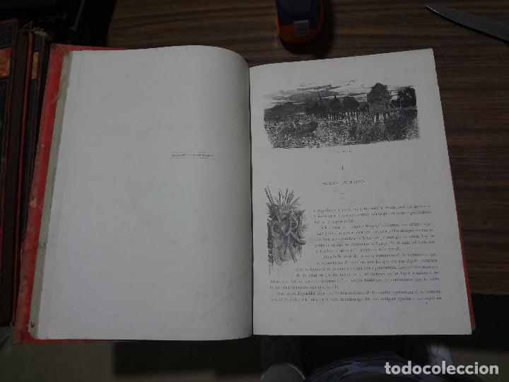 Libros antiguos: GERMANIA - MONTANER Y SIMON 1882 - Foto 15