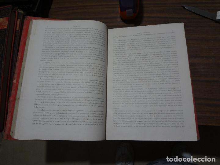 Libros antiguos: GERMANIA - MONTANER Y SIMON 1882 - Foto 16