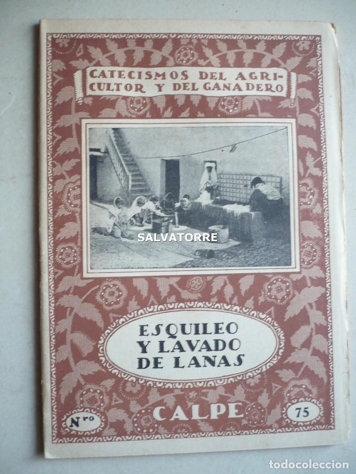 Livres anciens: ESQUILEO DE OVEJAS.LAVADO DE LANAS.CATECISMO AGRICULTOR Y GANADERO.ESPASA CALPE.1922
