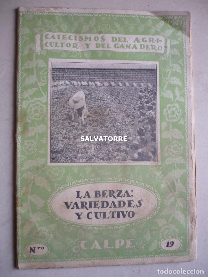 Livres anciens: LA BERZA. VARIEDADES Y CULTIVO.CATECISMO DEL AGRICULTOR Y GANADERO.ESPASA CALPE.1922