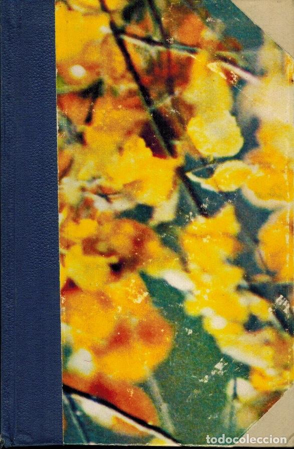 Libros antiguos: HISTORIA DE LA LITERATURA ESPA&Ntilde;OLA - Foto 2