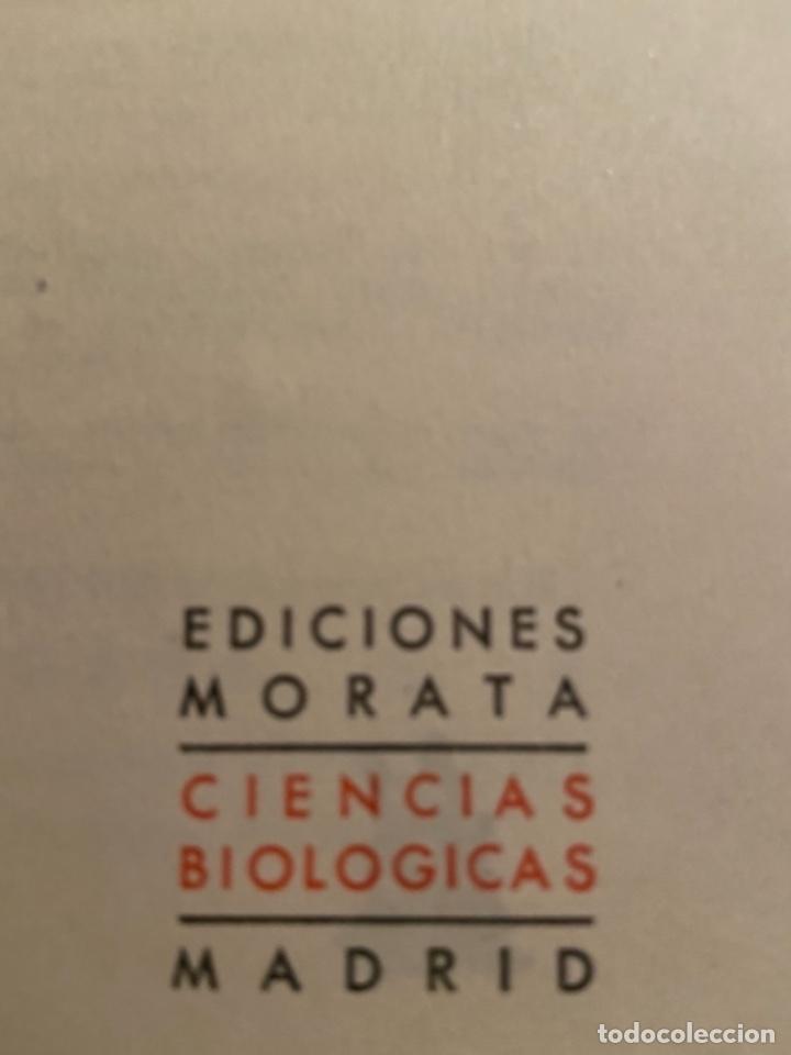 Libros antiguos: McDonald & Chusid. Compendio de Neuro-Anatom&iacute;a y neurolog&iacute;a funcional - Foto 4
