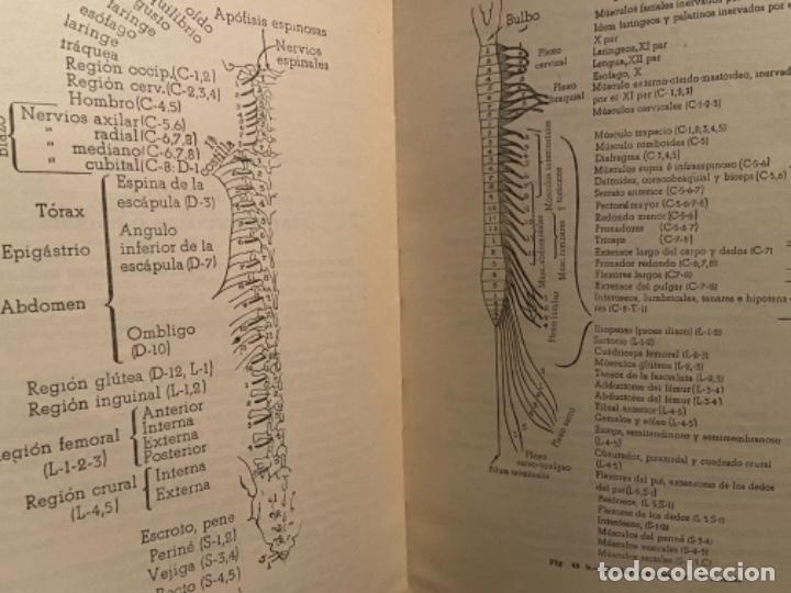 Libros antiguos: McDonald & Chusid. Compendio de Neuro-Anatom&iacute;a y neurolog&iacute;a funcional - Foto 11