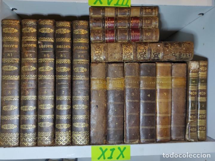 Libros antiguos: LOTE DE LIBROS DEL SIGLO XIX - Foto 10