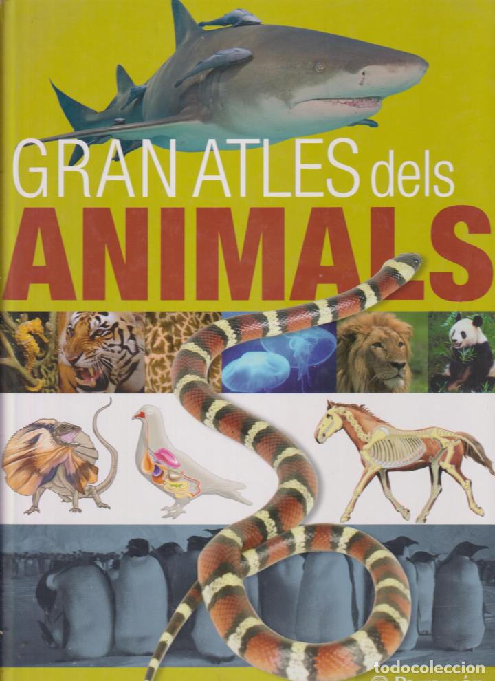 Libros antiguos: Gran Atles dels Animals. 1&ordf; Edici&oacute; Parram&oacute;n 2009 - Foto 1