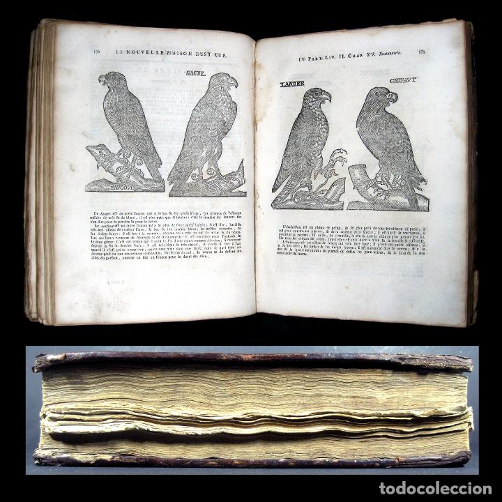 Libros antiguos: A&ntilde;o 1777 Tratado de las labores del campo 26 cm Cetrer&iacute;a Recetas Jardiner&iacute;a Vino Lobos 50 Grabados