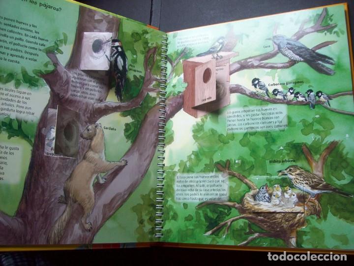 Libros antiguos: Curiosidades: En el Bosque (Libro con ventanas) - Foto 1