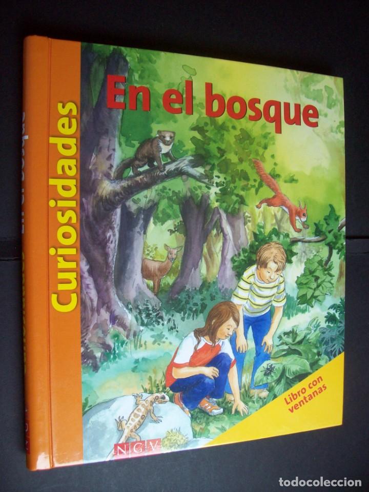 Libros antiguos: Curiosidades: En el Bosque (Libro con ventanas) - Foto 2