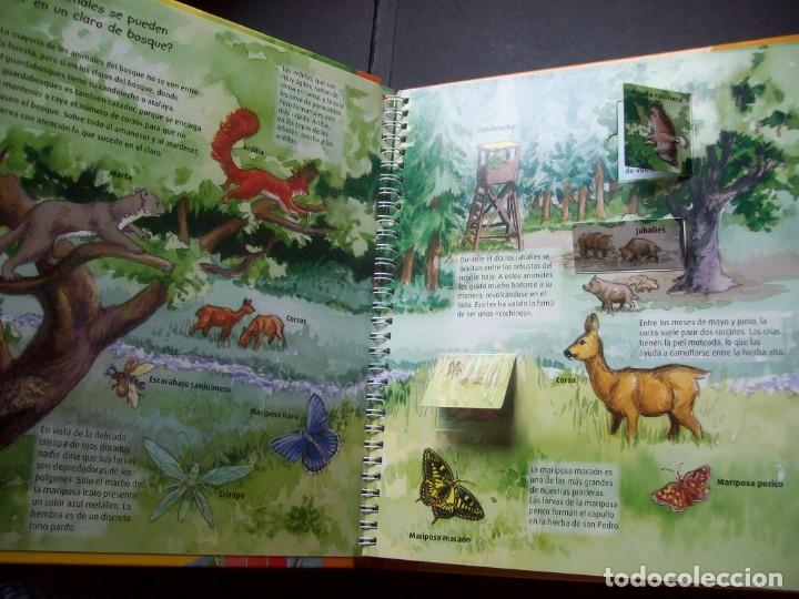 Libros antiguos: Curiosidades: En el Bosque (Libro con ventanas) - Foto 3