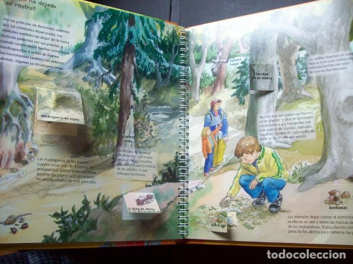 Libros antiguos: Curiosidades: En el Bosque (Libro con ventanas) - Foto 4