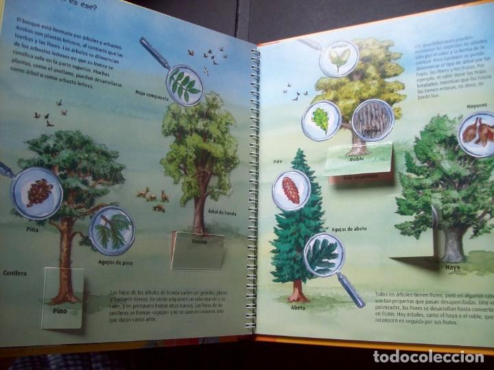 Libros antiguos: Curiosidades: En el Bosque (Libro con ventanas) - Foto 5
