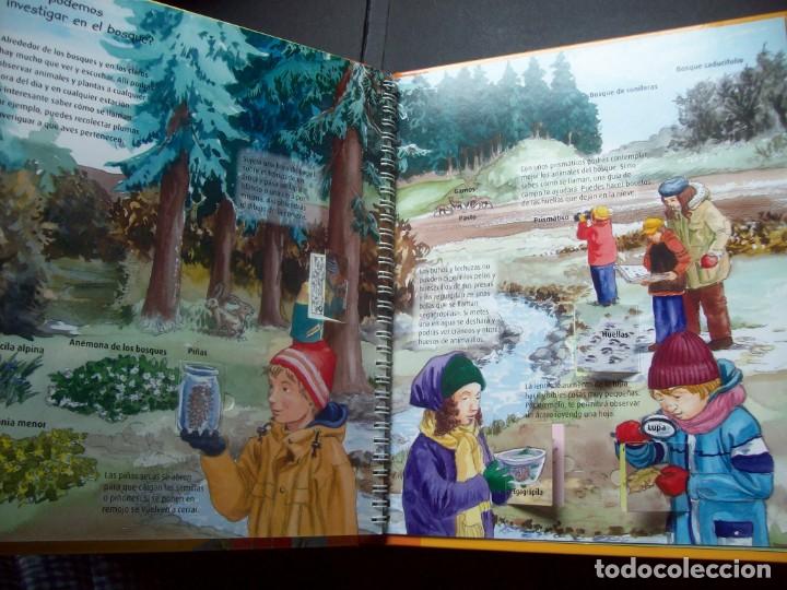 Libros antiguos: Curiosidades: En el Bosque (Libro con ventanas) - Foto 6