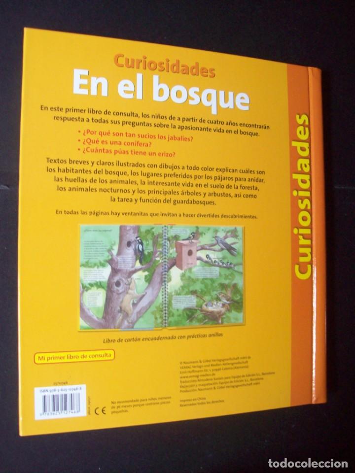 Libros antiguos: Curiosidades: En el Bosque (Libro con ventanas) - Foto 7
