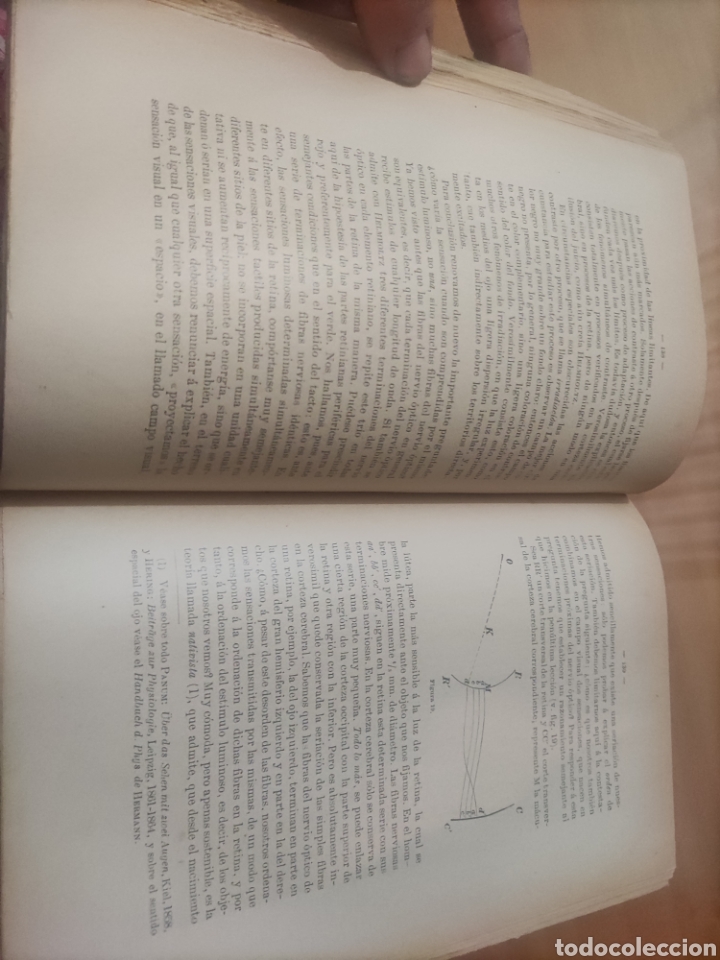 Libros antiguos: Compendio de Psicolog&iacute;a y Fisiolog&iacute;a. - Foto 5