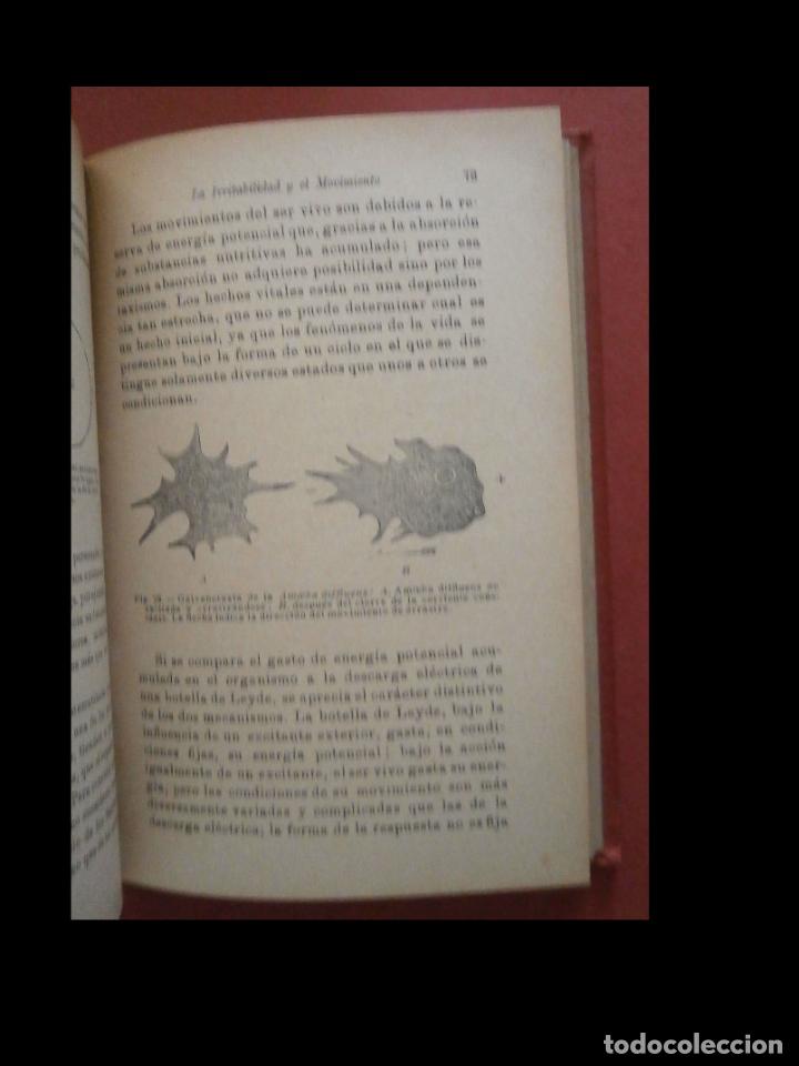 Libros antiguos: El origen de la vida. J.M. Pargame - Foto 2