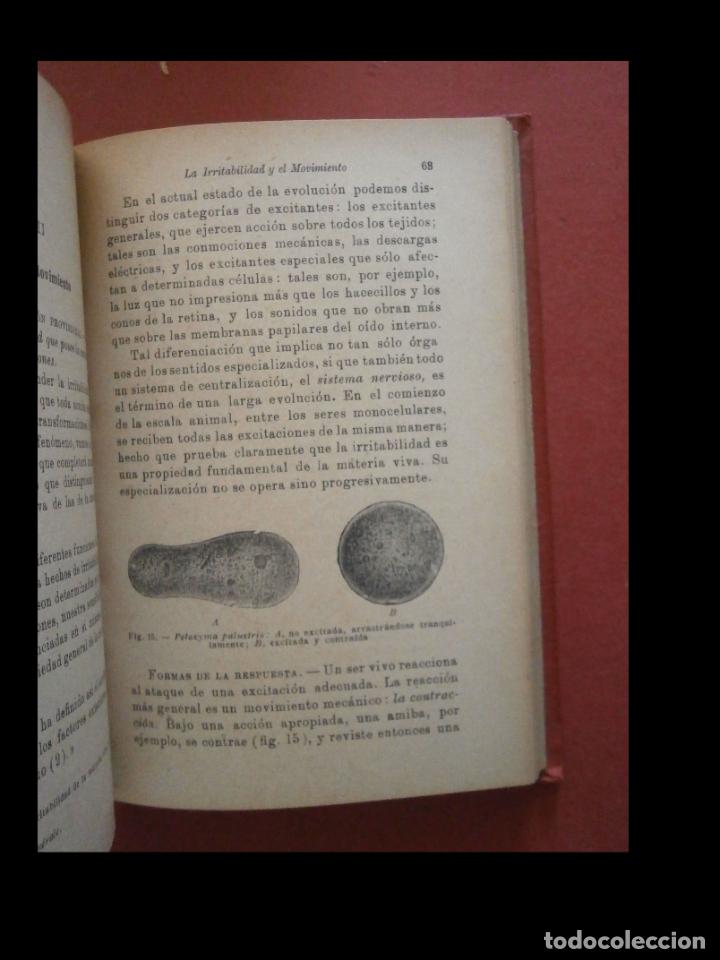 Libros antiguos: El origen de la vida. J.M. Pargame - Foto 3