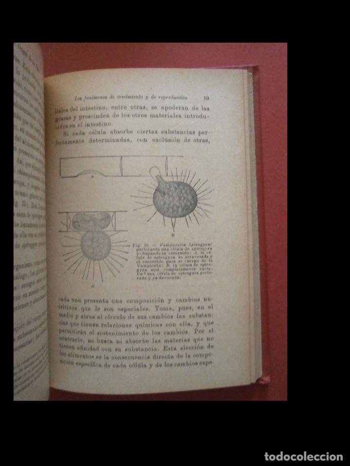 Libros antiguos: El origen de la vida. J.M. Pargame - Foto 5
