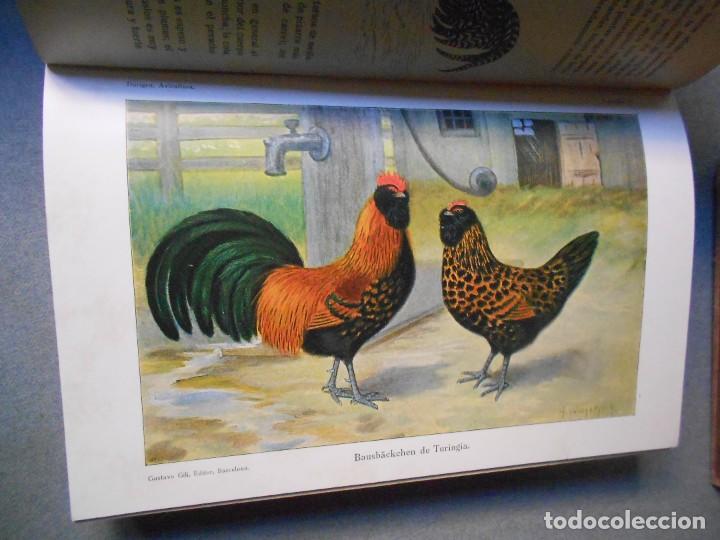Libros antiguos: AVICULTURA. DOS TOMOS - Foto 4