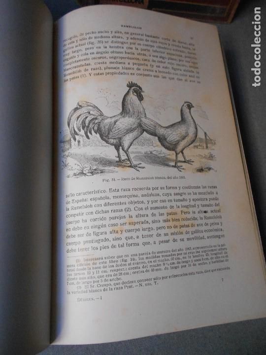 Libros antiguos: AVICULTURA. DOS TOMOS - Foto 5