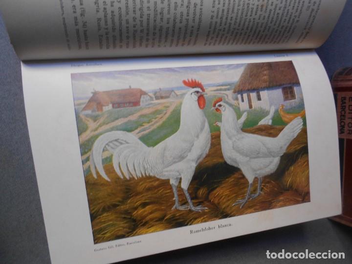 Libros antiguos: AVICULTURA. DOS TOMOS - Foto 7