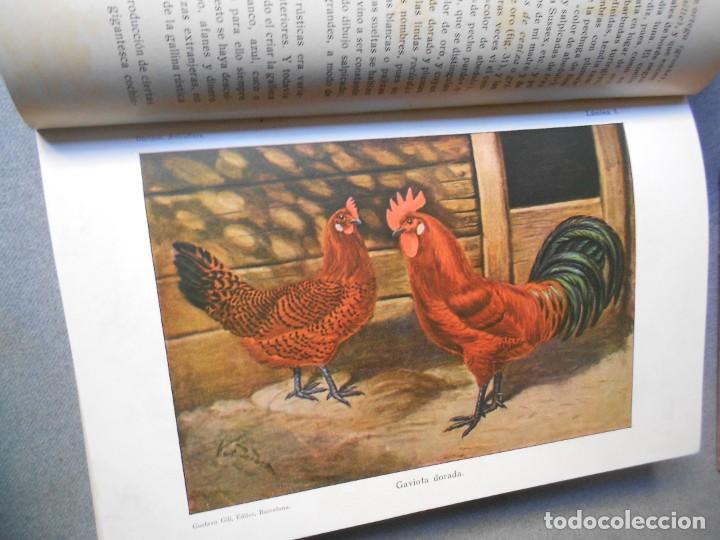 Libros antiguos: AVICULTURA. DOS TOMOS - Foto 8