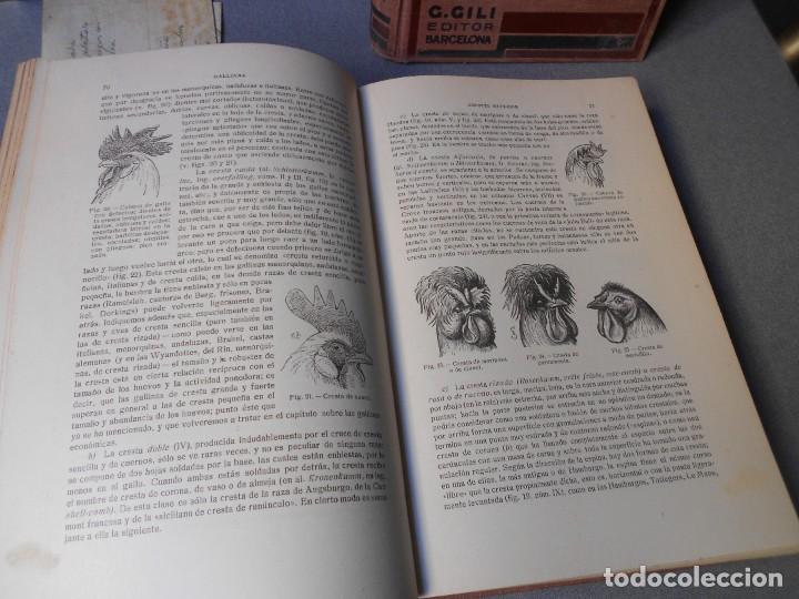 Libros antiguos: AVICULTURA. DOS TOMOS - Foto 9