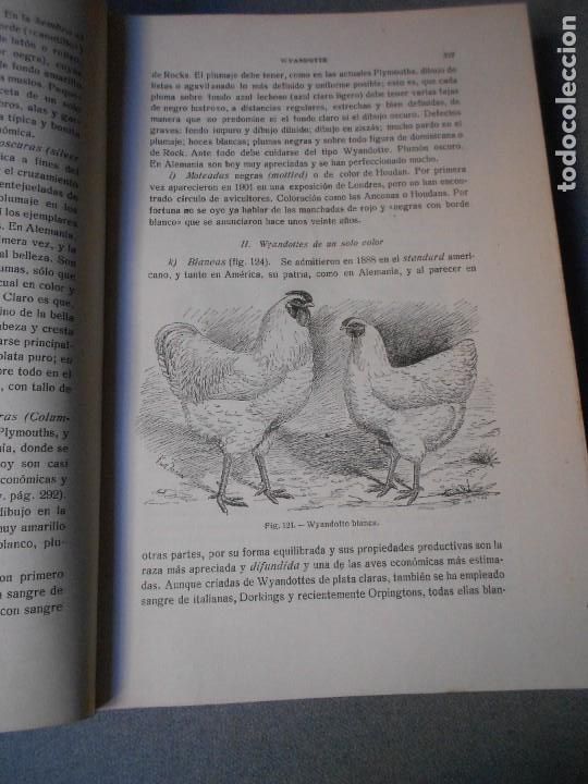Libros antiguos: AVICULTURA. DOS TOMOS - Foto 12
