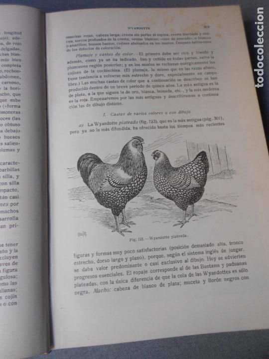 Libros antiguos: AVICULTURA. DOS TOMOS - Foto 13