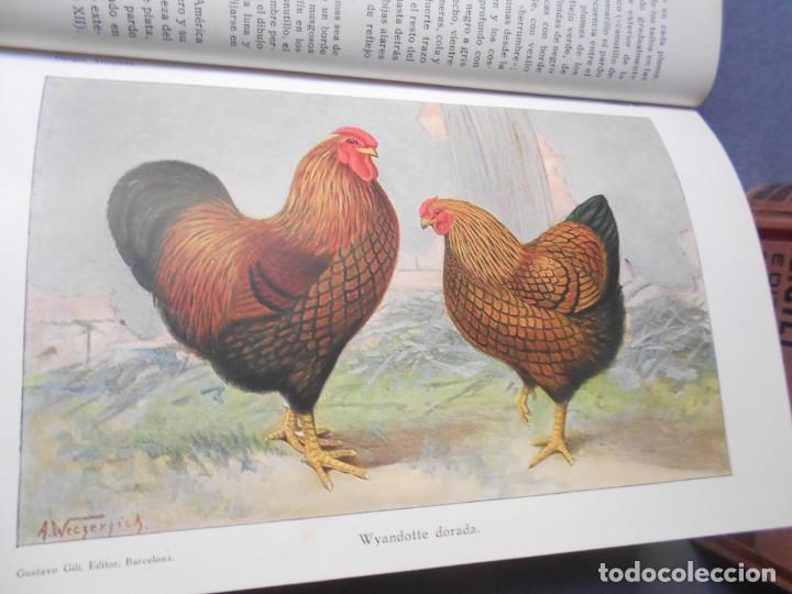Libros antiguos: AVICULTURA. DOS TOMOS - Foto 14