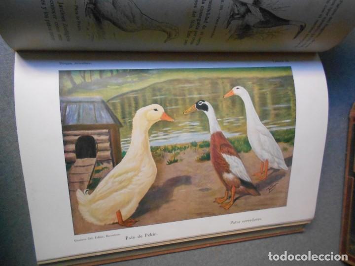 Libros antiguos: AVICULTURA. DOS TOMOS - Foto 16