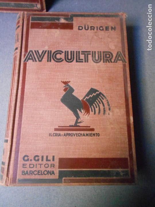 Libros antiguos: AVICULTURA. DOS TOMOS - Foto 18