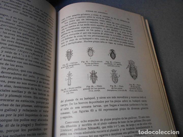 Libros antiguos: AVICULTURA. DOS TOMOS - Foto 20