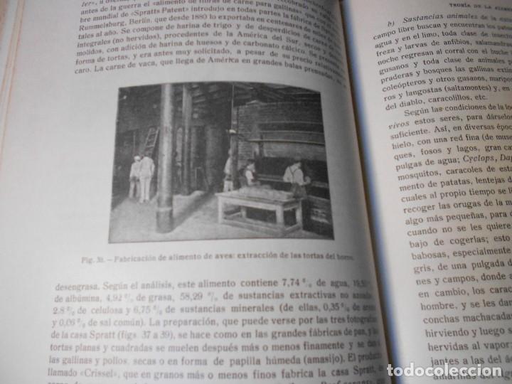 Libros antiguos: AVICULTURA. DOS TOMOS - Foto 21