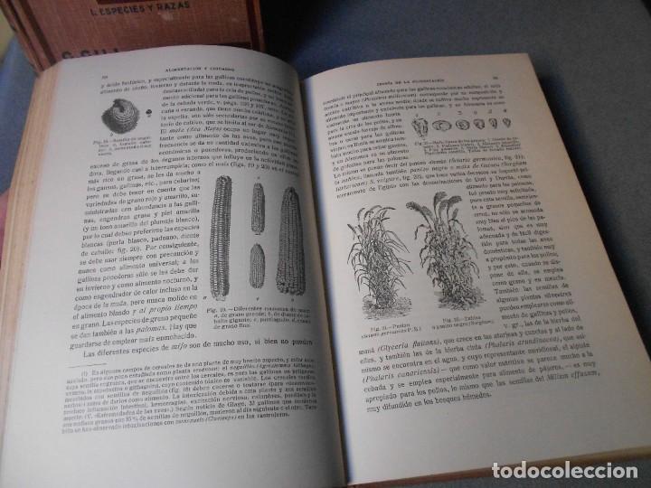 Libros antiguos: AVICULTURA. DOS TOMOS - Foto 22
