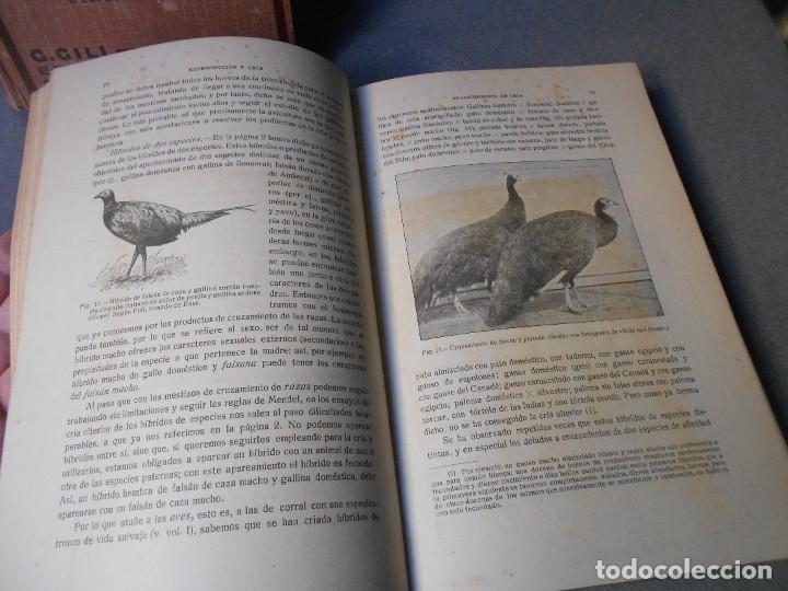 Libros antiguos: AVICULTURA. DOS TOMOS - Foto 23