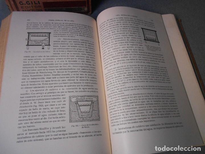 Libros antiguos: AVICULTURA. DOS TOMOS - Foto 25