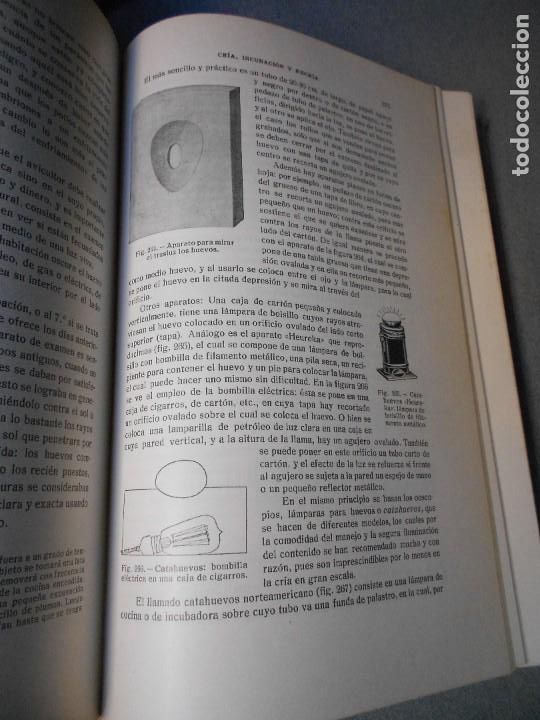Libros antiguos: AVICULTURA. DOS TOMOS - Foto 26
