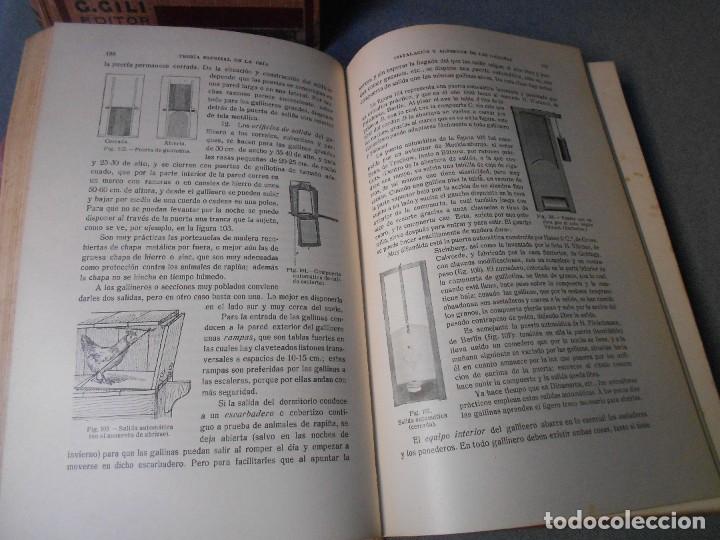 Libros antiguos: AVICULTURA. DOS TOMOS - Foto 28