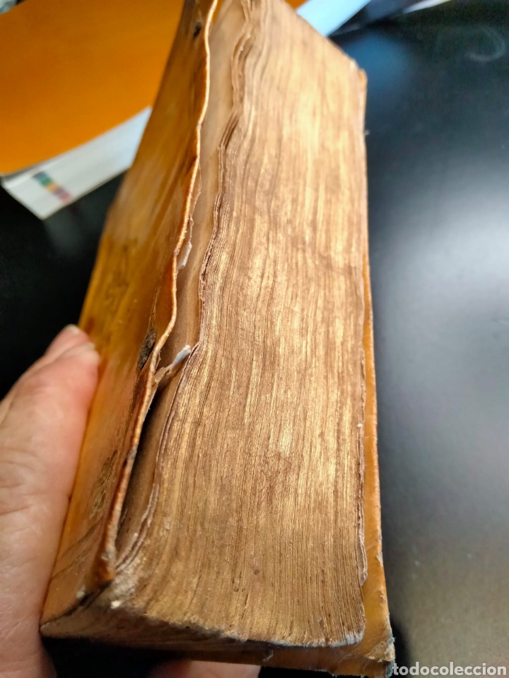 Libros antiguos: Libro a&ntilde;o 1586 NICOLAI SANDERI sobre el origen y el progreso del cisma, libro 3 - Foto 7