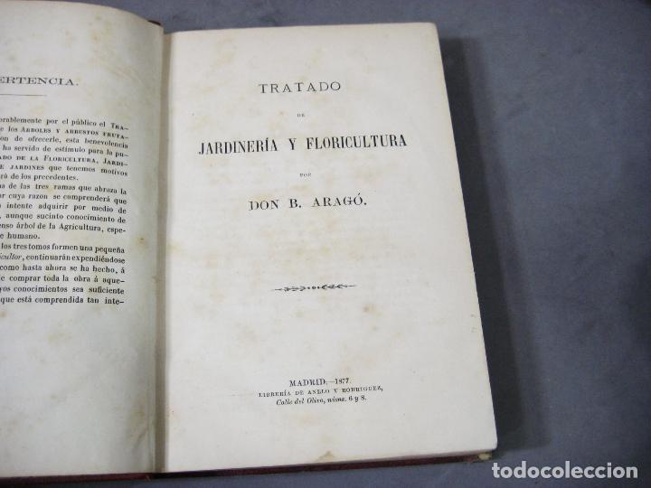 Livres anciens: TRATADO DE JARDINER&Iacute;A Y FLORICULTURA POR DON B. ARAG&Oacute;. 1877