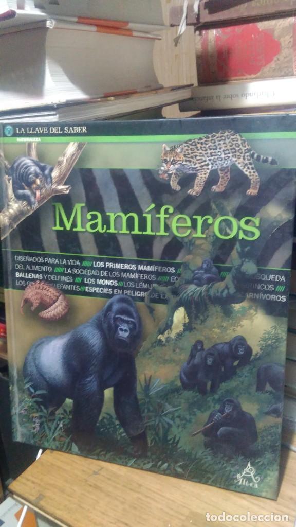 Libros antiguos: MAM&Iacute;FEROS, LA LLAVE DEL SABER, ALTEA - Foto 1