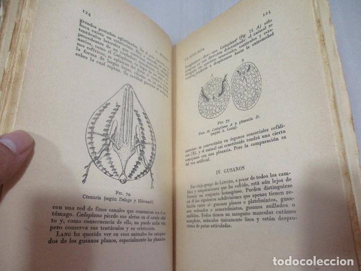 Libros antiguos: A. ROBERT La zoolog&iacute;a W11276 - Foto 3