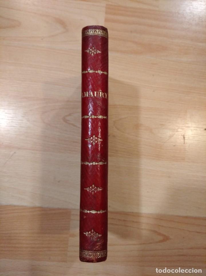Libros antiguos: Amaury. Alejandro Dumas padre. 1888 - Foto 1