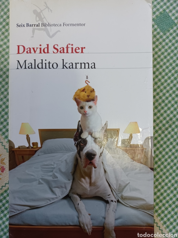Libros antiguos: Barybook 228. . . maldito Karma David Safier - Foto 1