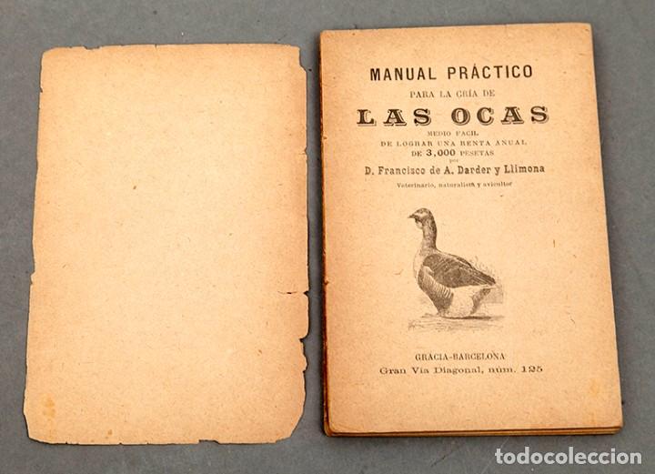 Libros antiguos: CRIA DE LA OCAS - C. 1892 - FRANCISCO DARDER - Foto 3
