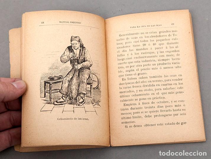Libros antiguos: CRIA DE LA OCAS - C. 1892 - FRANCISCO DARDER - Foto 6