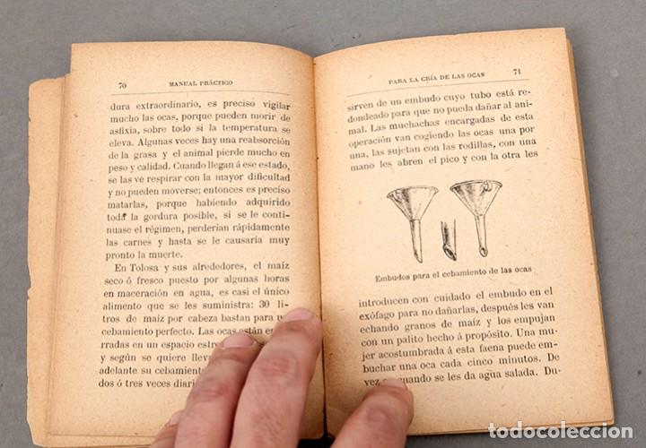 Libros antiguos: CRIA DE LA OCAS - C. 1892 - FRANCISCO DARDER - Foto 7