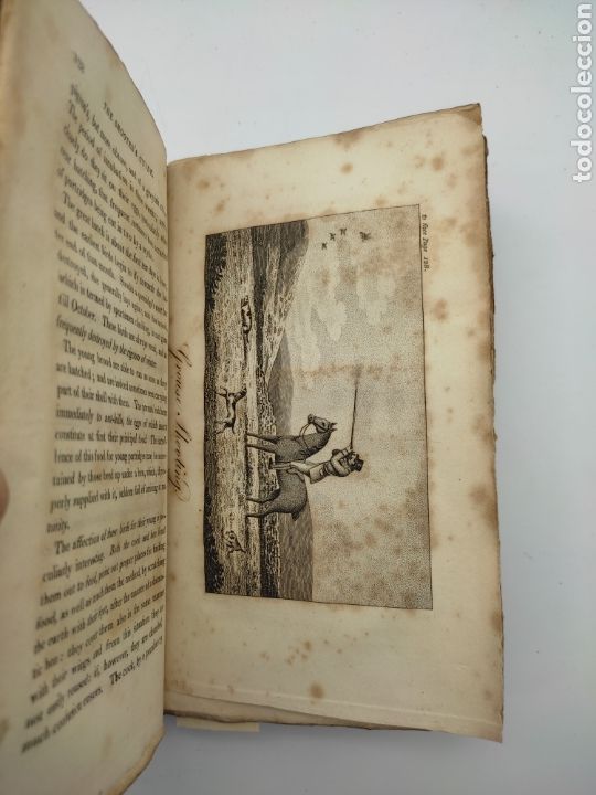 Libros antiguos: The shooters guide 1816 notable encuadernaci&oacute;n - Foto 6